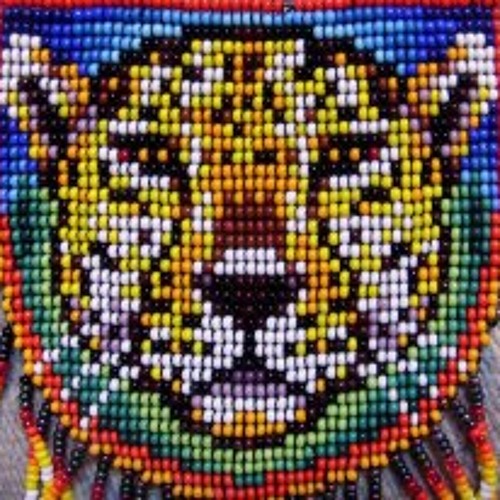 Chapinmaya Shiwiar - Mira Jempe