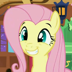 Remixes of Fluttershy songs
