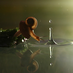 The Droplet Paradigm Mix