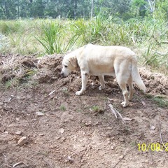 Surfing in surfing zone