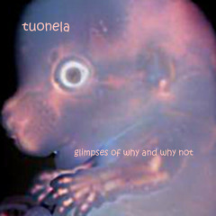 Glimpses of why and why not - Limited Edition cdr available!