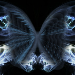 The butterfly effect