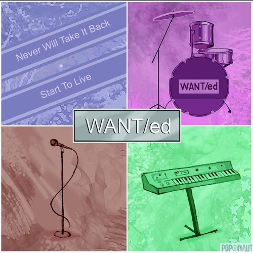 WANT/ed - Never Will Take It Back