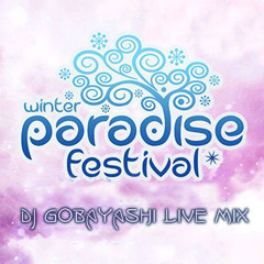 Dj Gobayashi @ WINTER PARADISE Festival 2013 live cut