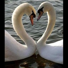 IFE BY LORD TRIOSON (PRODUCE BY G AFRICA)N0 1