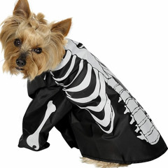 Big Skeleton / Small Skeleton (Clean the Cellar and Now and Then the Dog)