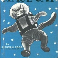 Would I Go To Space (Yes, I Would)?