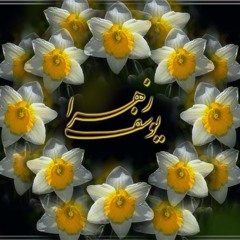 یابن الزّهرا س