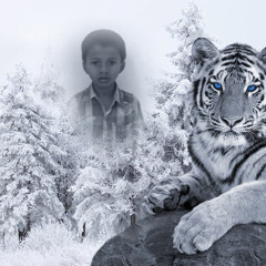 Dj srinu yara mallamma kodala house mix new 2013