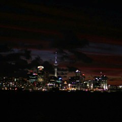 where have you gone at Bercham