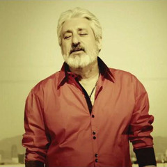 Ebi And Shadmehr Aghili - Hamin Khoobe (MUSIC IS MY LIFE)