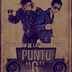 Ñengo Flow Ft Las Ovejas Negras- Punto G- Acapella Mix- [Nahu Rmx]