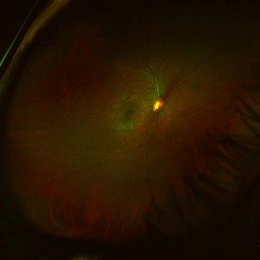 Ètude Nr.10 for Piano Solo