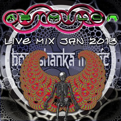 Asimilon LIVE 2013