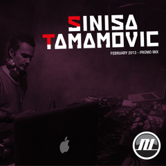 Sinisa Tamamovic - Promo Mix - February 2013