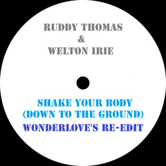 Shake Your Body (Down To The Ground) (Wonderlove's Re-edit)