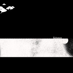 Echoton in the mix II