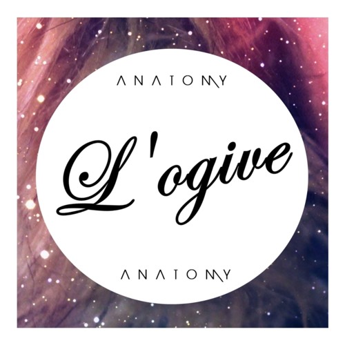 Anatomy - Burn