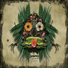 Donso "Jugu (Baconhead Remix)"