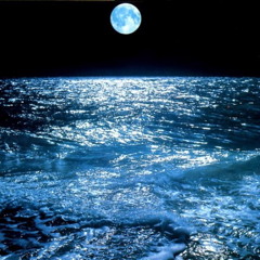 Black Tide
