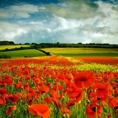 DJ KIMM - VALENTINE Music