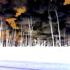 Druffin' - Harlie Ahnika & IdeAlone (Prod.ohshititsmario.)