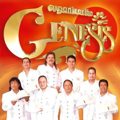 Organizacion genesis mix sonido pegajosso