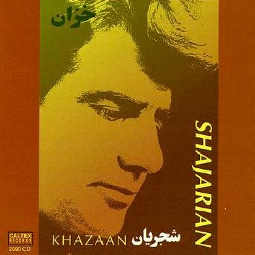 اشک مهتاب | محمدرضا شجریان