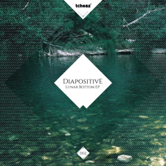 Lunar Bottom - Dj Steef Remix