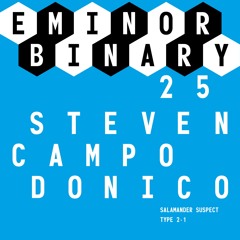 EMINOR binary 25-2-Steven Campodonico-Type 2-1-Snippet