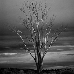 ZEITFAKTOR - The Land Of Lost Dreams