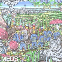 Oh That I Had - Mt. Eden (MEDS EP)