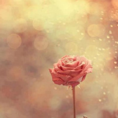 تفوح روائح