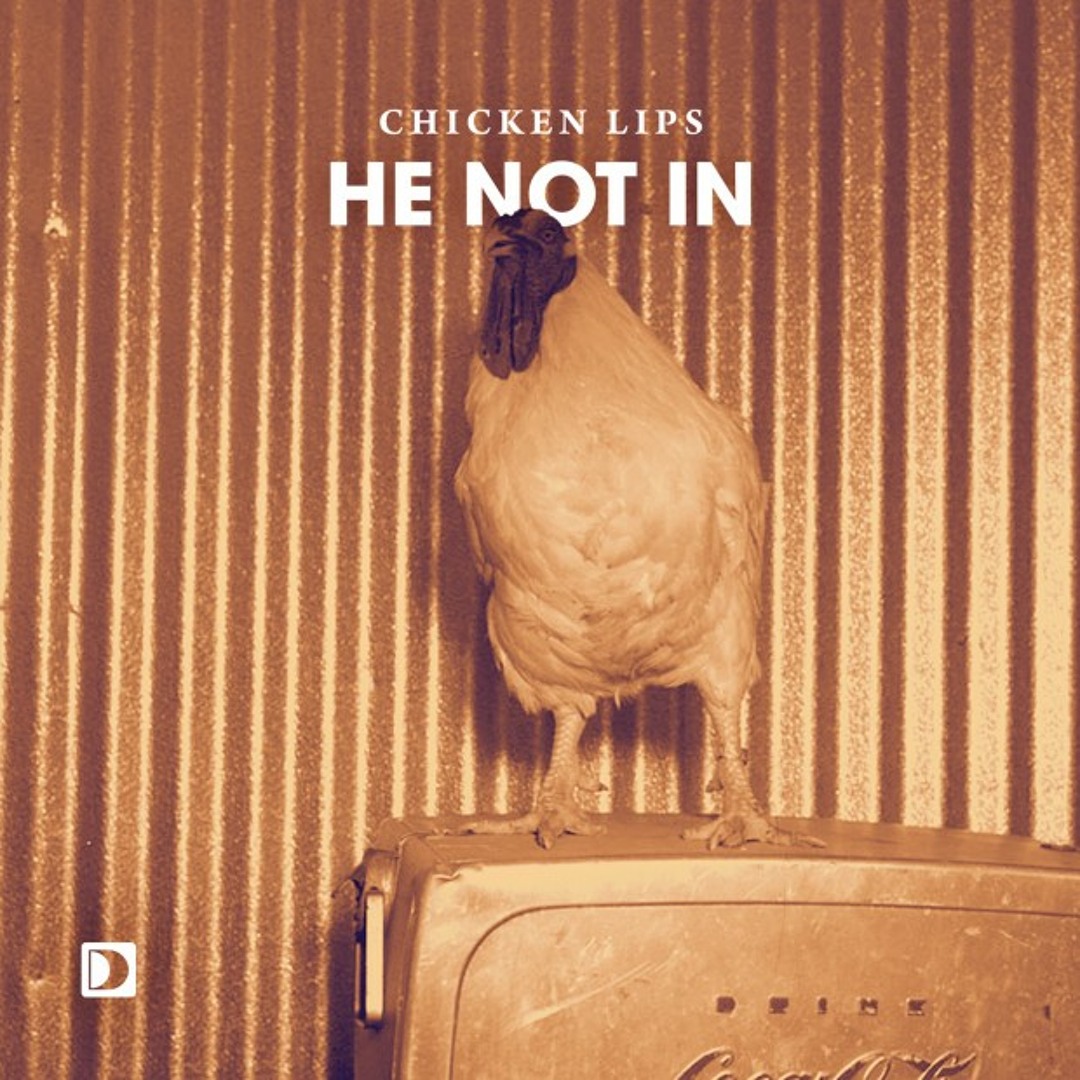 Chicken Lips: He Not In (Noir's Personal Edit)