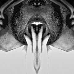 Beitjala before and after midnight