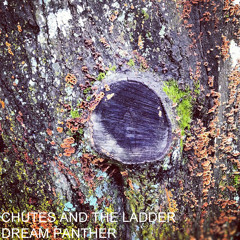 Chutes and the Ladder