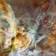 WinterWolf Sinks Into Herself, Folding Space And Time, Into The White Light. Red Tooth And Claw, Flail Her Many Inner-Demons. Meanwhile, In The Valley Below Her, A Big Top Is Pitched at Planet of the Apes