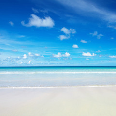 Paradise