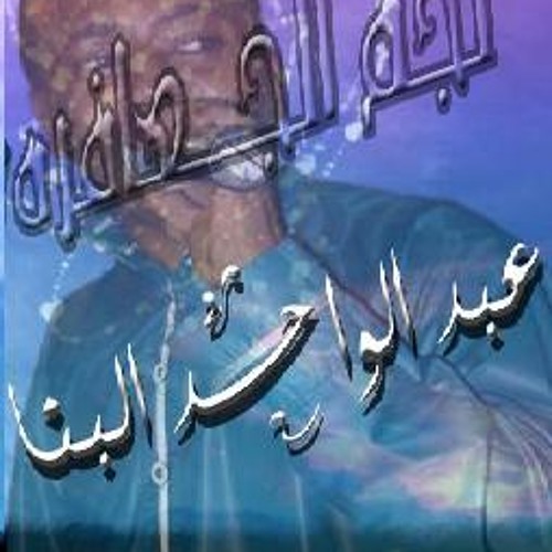 نجم الجعافره  عبدالواحد البنا النجم هانى السودانى دى جى ياحول الله