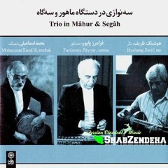 F. Payvar, H.Zarif, M. Esmaeili - Se Navazi Dar Mahour & Segah -Daramad, Dad, Shekaste