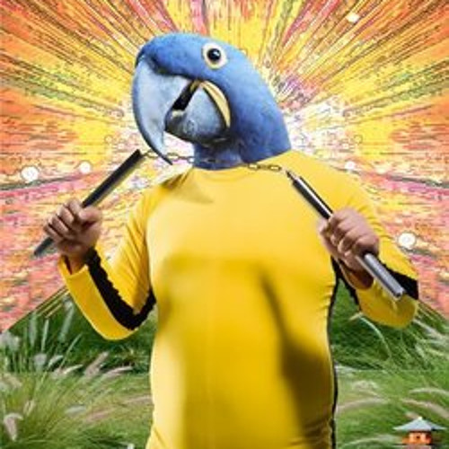 Tim Ismag - Parrotman (CUT) OUT NOW !