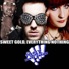 Sweet Gold, Everything Nothing (Poser Re-Work) (TRANS 100-128) (D)