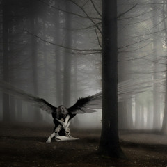 Plumb - Cut - Cover by Magdalen Silvestra and Adina