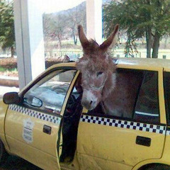 yellow cab