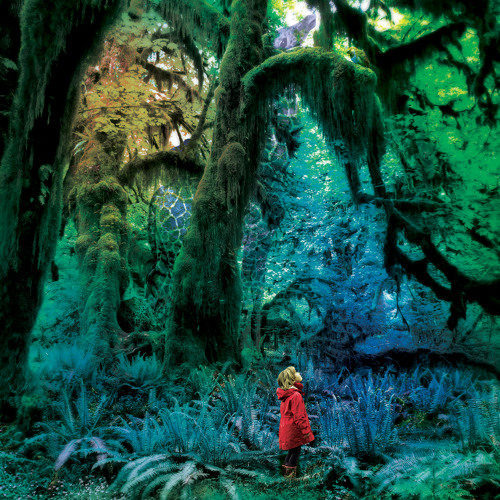 Jacco Gardner - Where Will You Go
