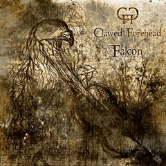 Clawed forehead - Falcon