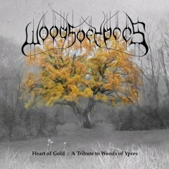 Adora Vivos (Woods of Ypres cover) - Raphael Weinroth-Browne