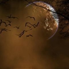 The Great Divide (A Firesign Theatre Tribute-Somewhere In Sumatra) at The Downward Spiral