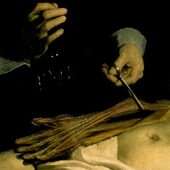 Bedroom recording #2: Careful this one is very loud! (2006)