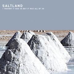 Saltland • "ICA"